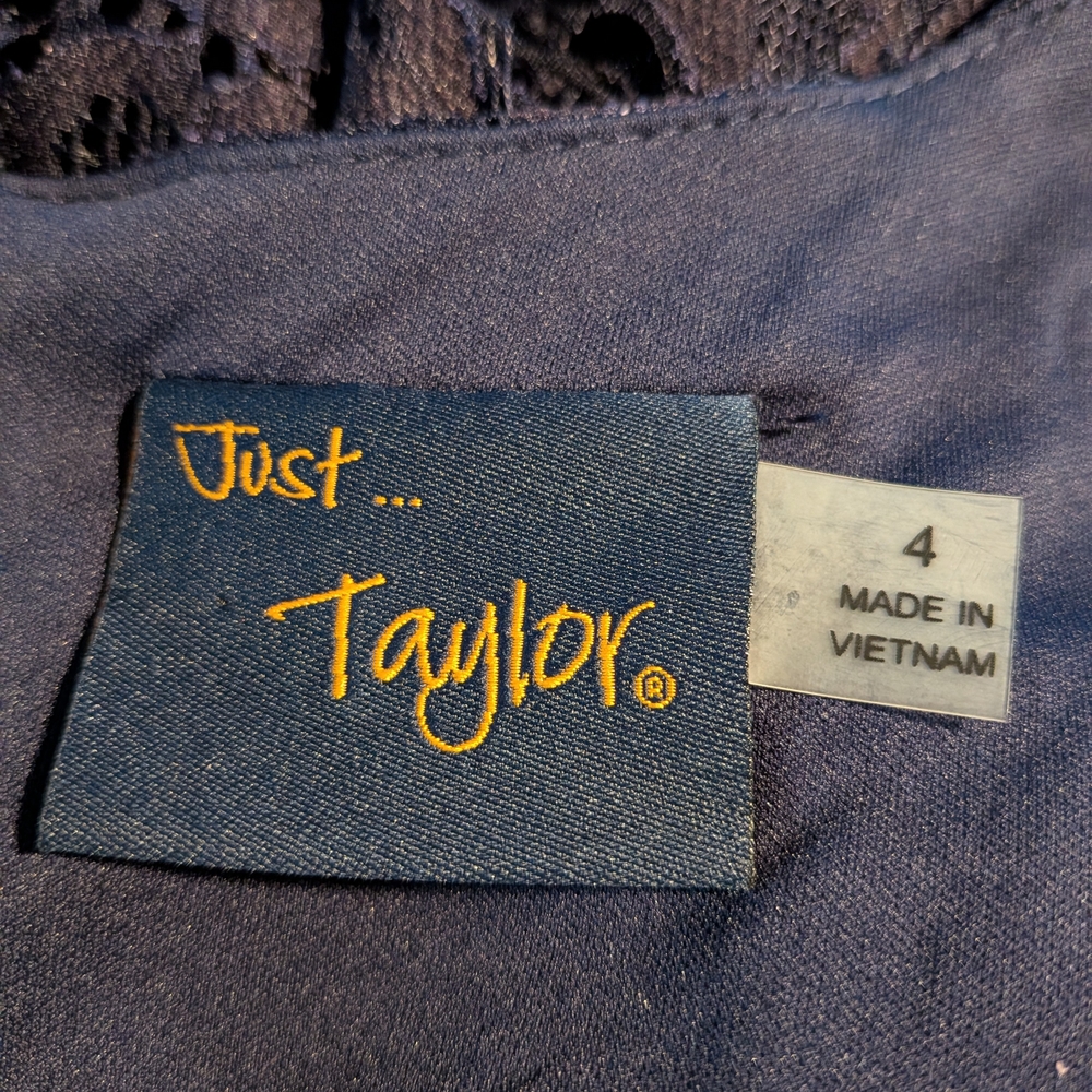 NEW Navy Taylor Lace Dress Size 4 - Picture 8 of 15